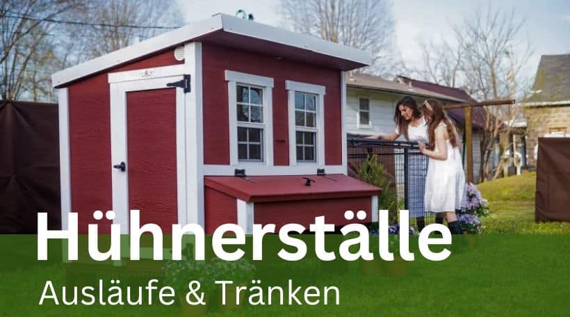 Hühnerställe_Ueberberg_Engelskrichen