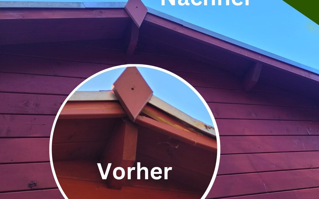 Professionelle Gartenhaus Reparatur und Instandsetzung in Engelskirchen Ueberberg