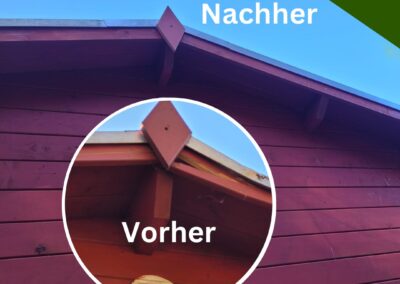 Professionelle Gartenhaus Reparatur und Instandsetzung in Engelskirchen Ueberberg