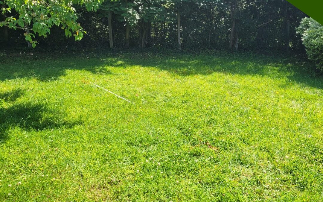 Professioneller Holzbau: Gartenhaus mit Verblendung und Rampenbau in Ueberberg